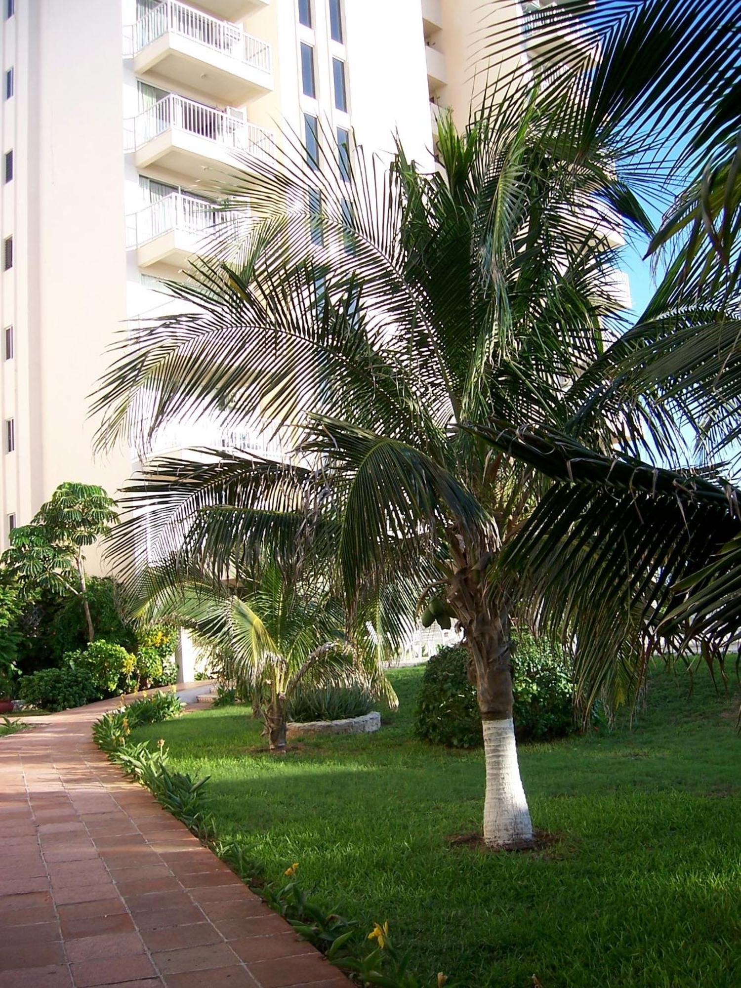 Salvia Cancun Aparts Cancún Exterior foto